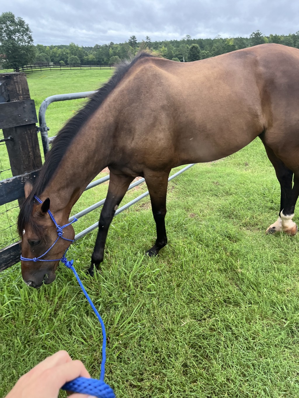 “Change…The Only Consistency”