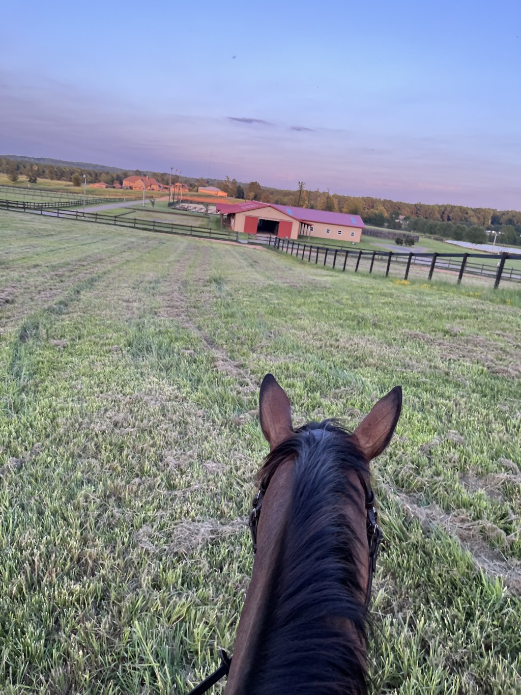 “Back In The Saddle Again…I’m Back!”
